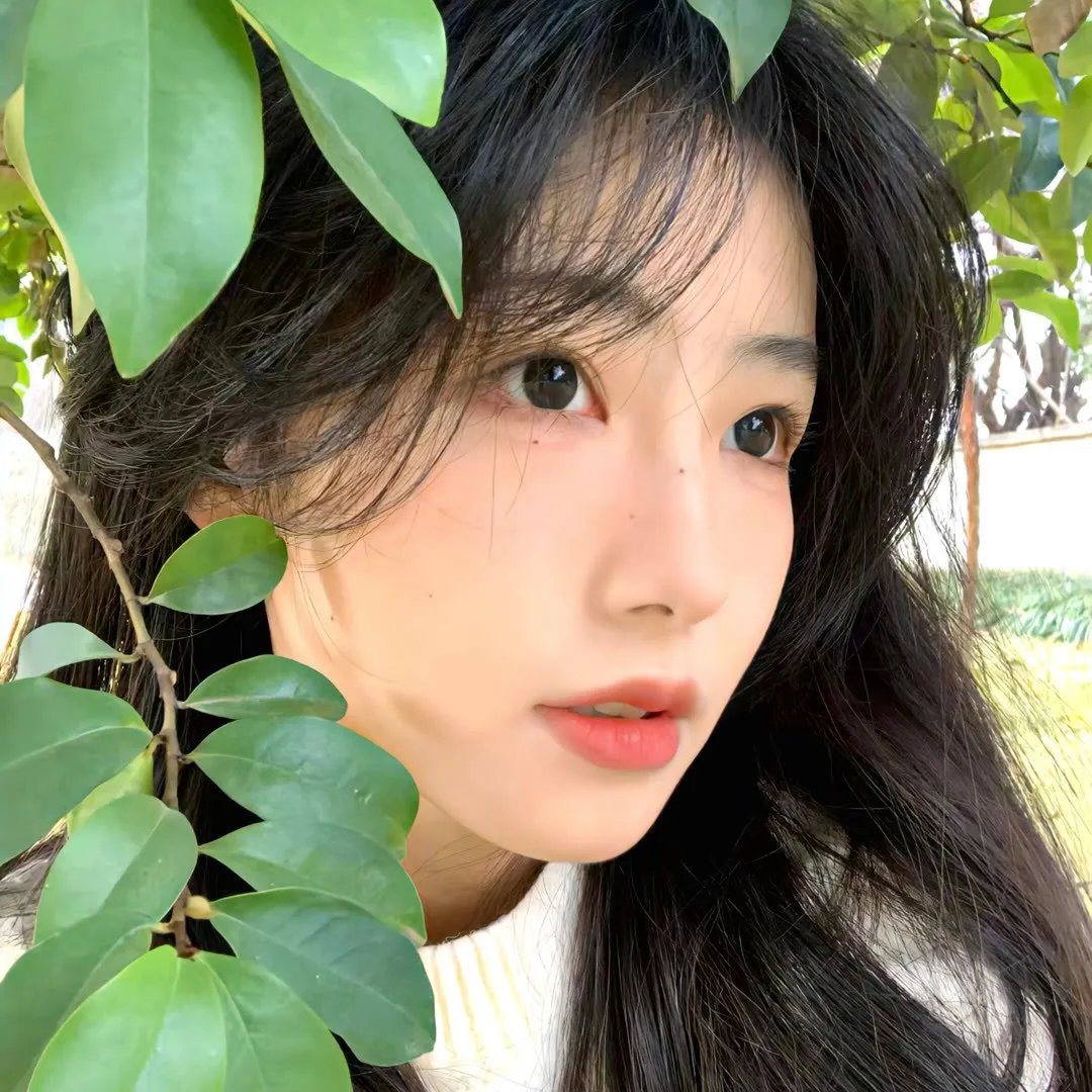 西野的恋爱与冒险